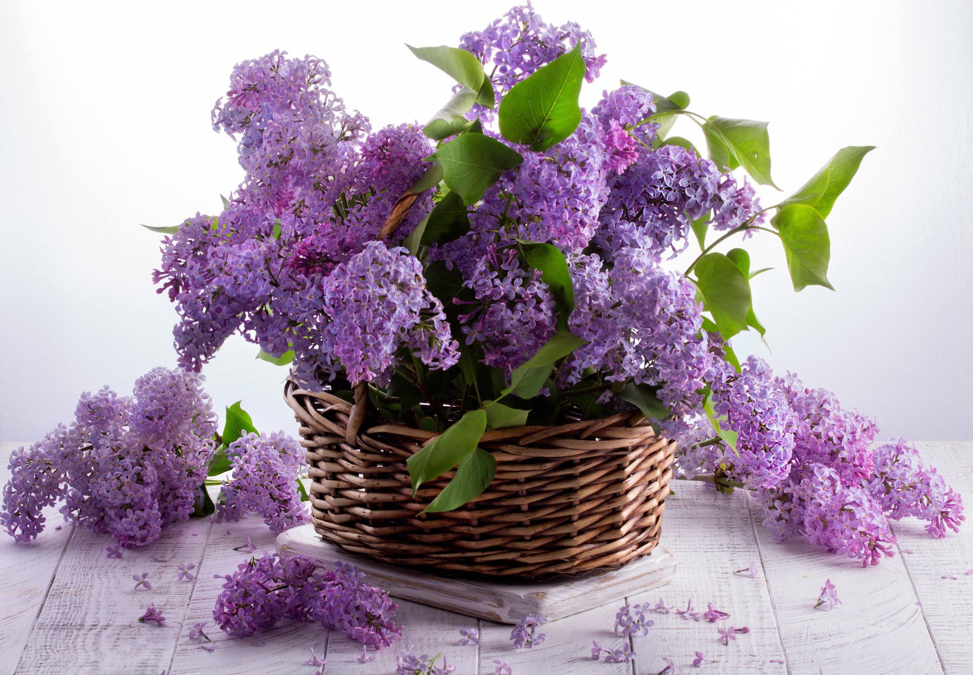 AdobeStock_342232055-2880w
