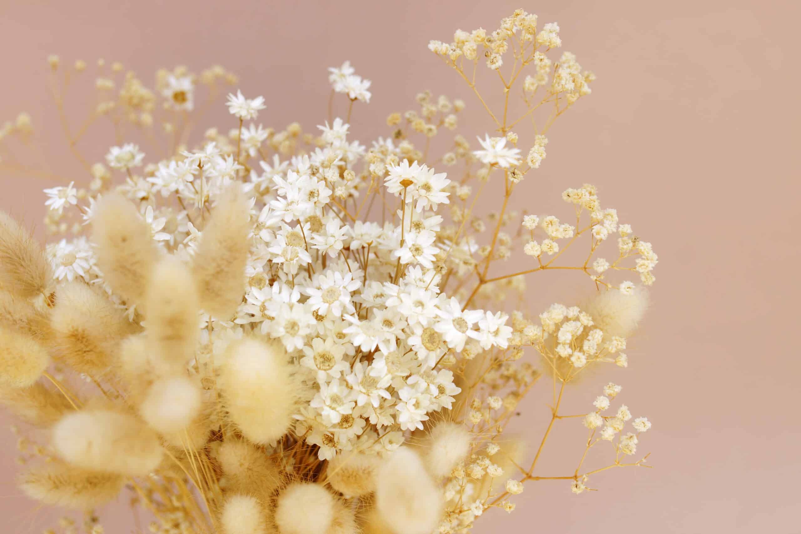 Dried flowers bouquet composition on beige background,Copy space.Neutral colors boho style decor.Aesthetic poster.